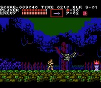 une photo d'Ã©cran de Castlevania 3 - Dracula s Curse sur Nintendo Nes